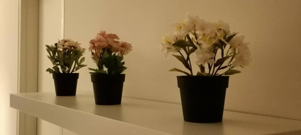 Cozy Studio Unit,Cyberjaya,Wifi, Netflix,Free Parking 外观 照片